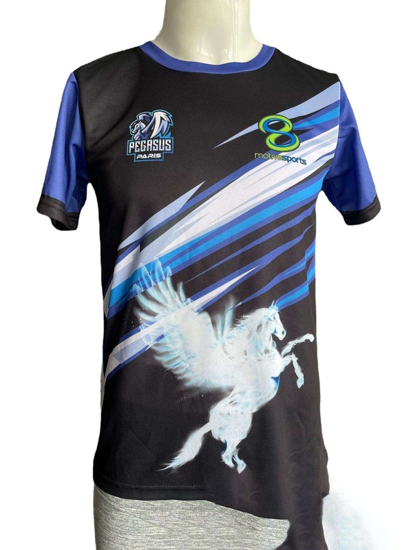 What is Sublimation? Importance of Sublimation Printing